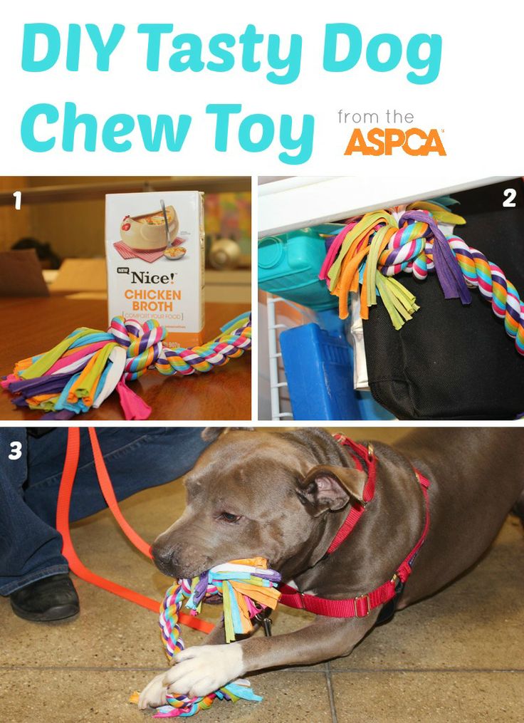 Easy DIY Tasty Chew Toy