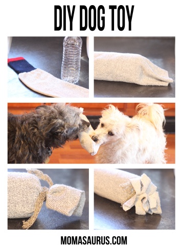 water bottle sock dog toy