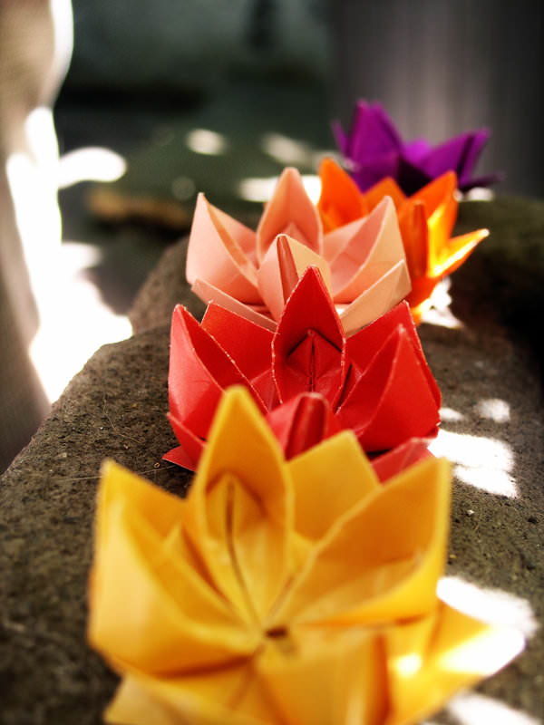 40 Pretty Paper Flower Crafts, Tutorials & Ideas