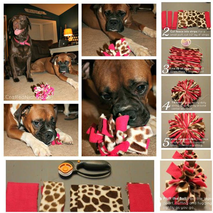 DIY Fleece Dog Toy-2