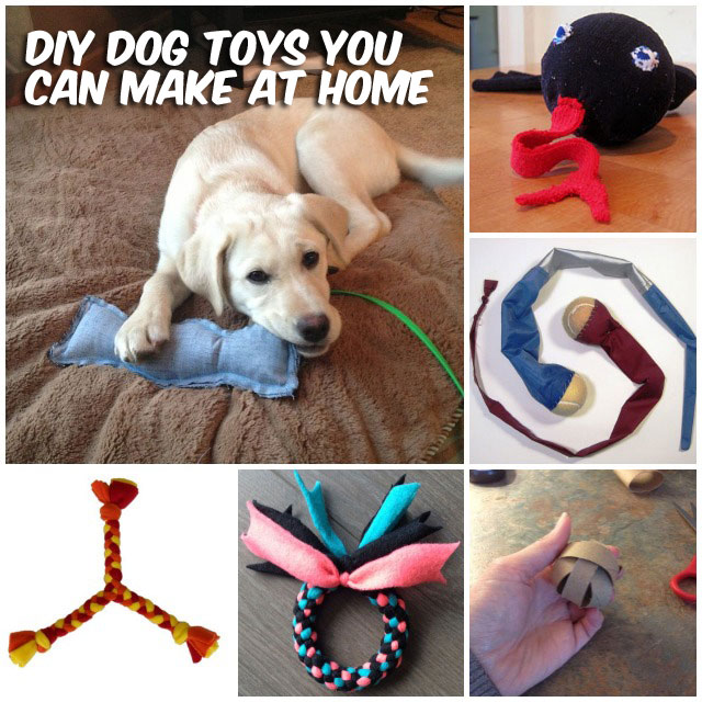 diy dog enrichment toys