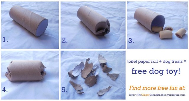 Free dog toy using a toilet paper roll!