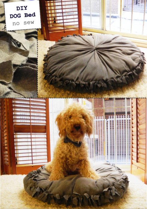 15 No Sew DIY Pet Beds For Your Best Friend