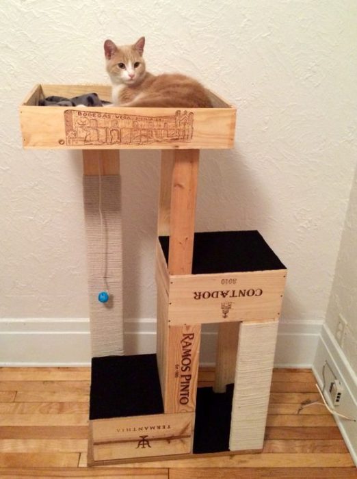 40 Cool DIY Cat Tree Kitty Condos or Cat Climbers