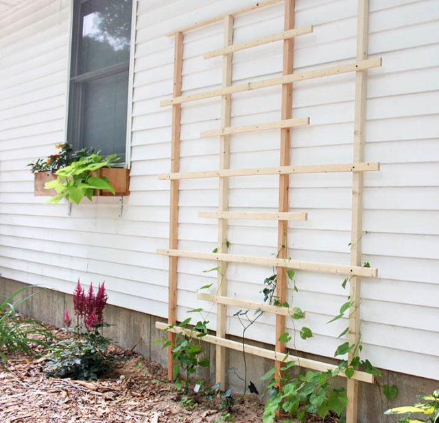 DIY Trellis 640x618