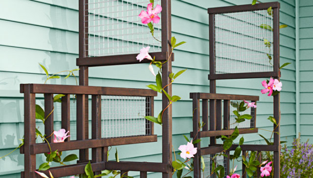 40 Diy Homemade Structures To Plant Vines Trellis Arbor Pergola