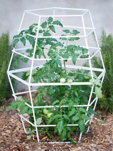 Geo Tomato Cage