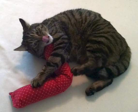 giant cat toy